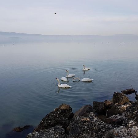 Antica Casa Di Famiglia Hotel Castiglione del Lago Luaran gambar