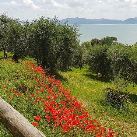 Antica Casa Di Famiglia Hotel Castiglione del Lago Luaran gambar