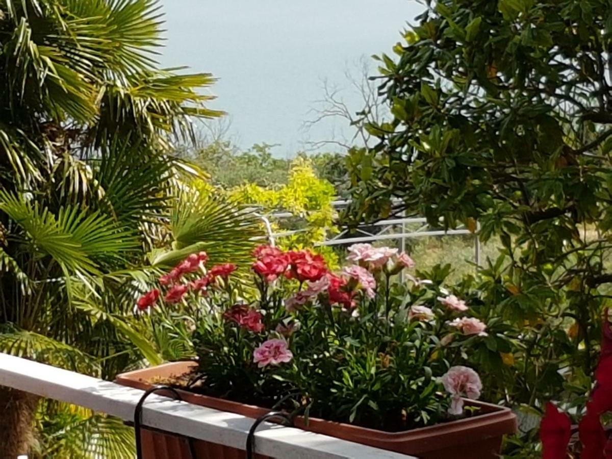 Antica Casa Di Famiglia Hotel Castiglione del Lago Luaran gambar