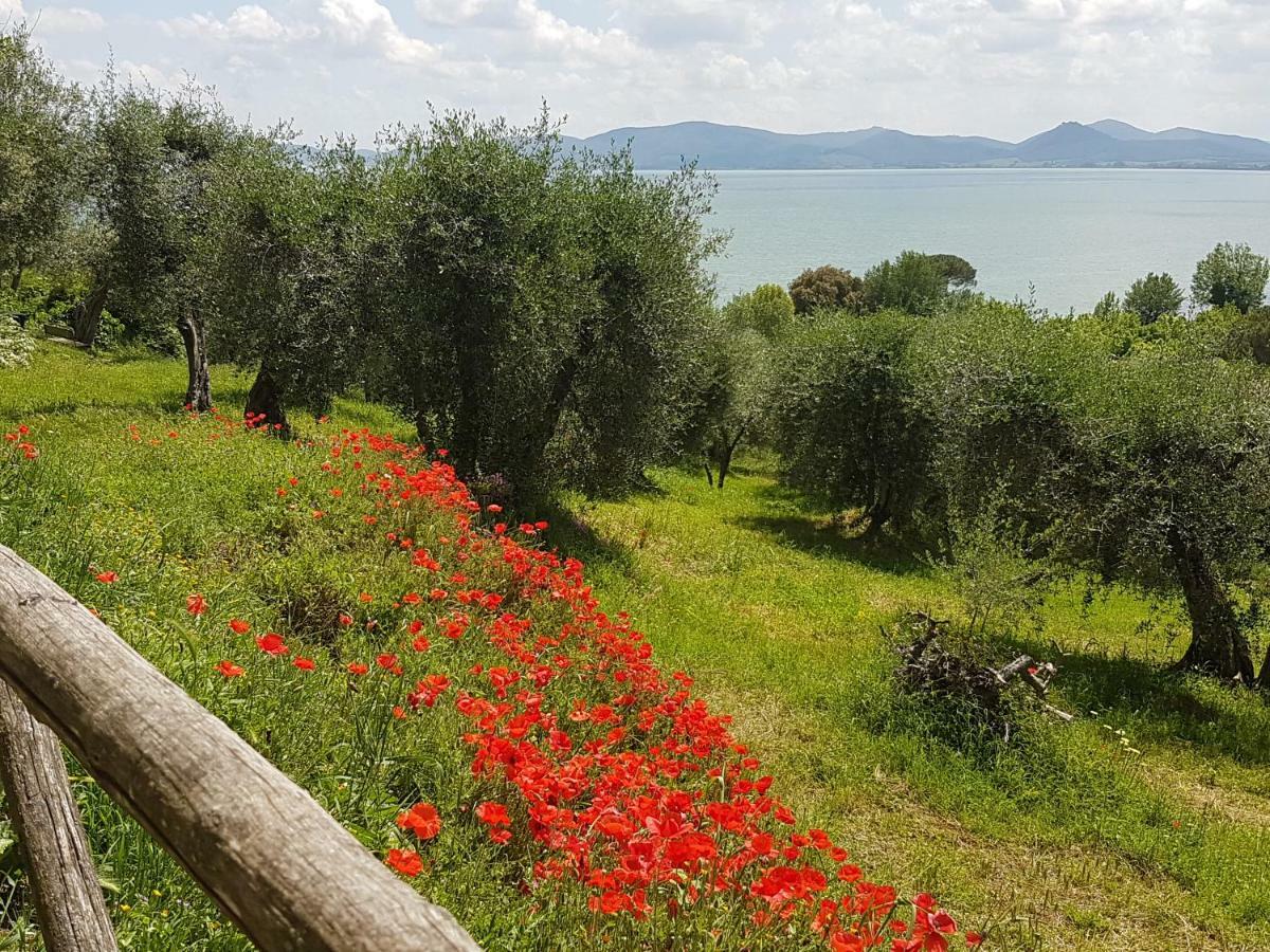 Antica Casa Di Famiglia Hotel Castiglione del Lago Luaran gambar